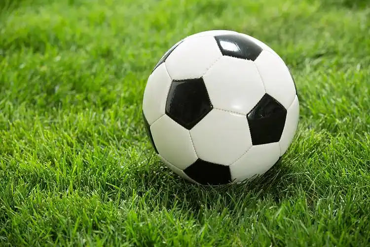 球探比分新版常见问题帮助中心